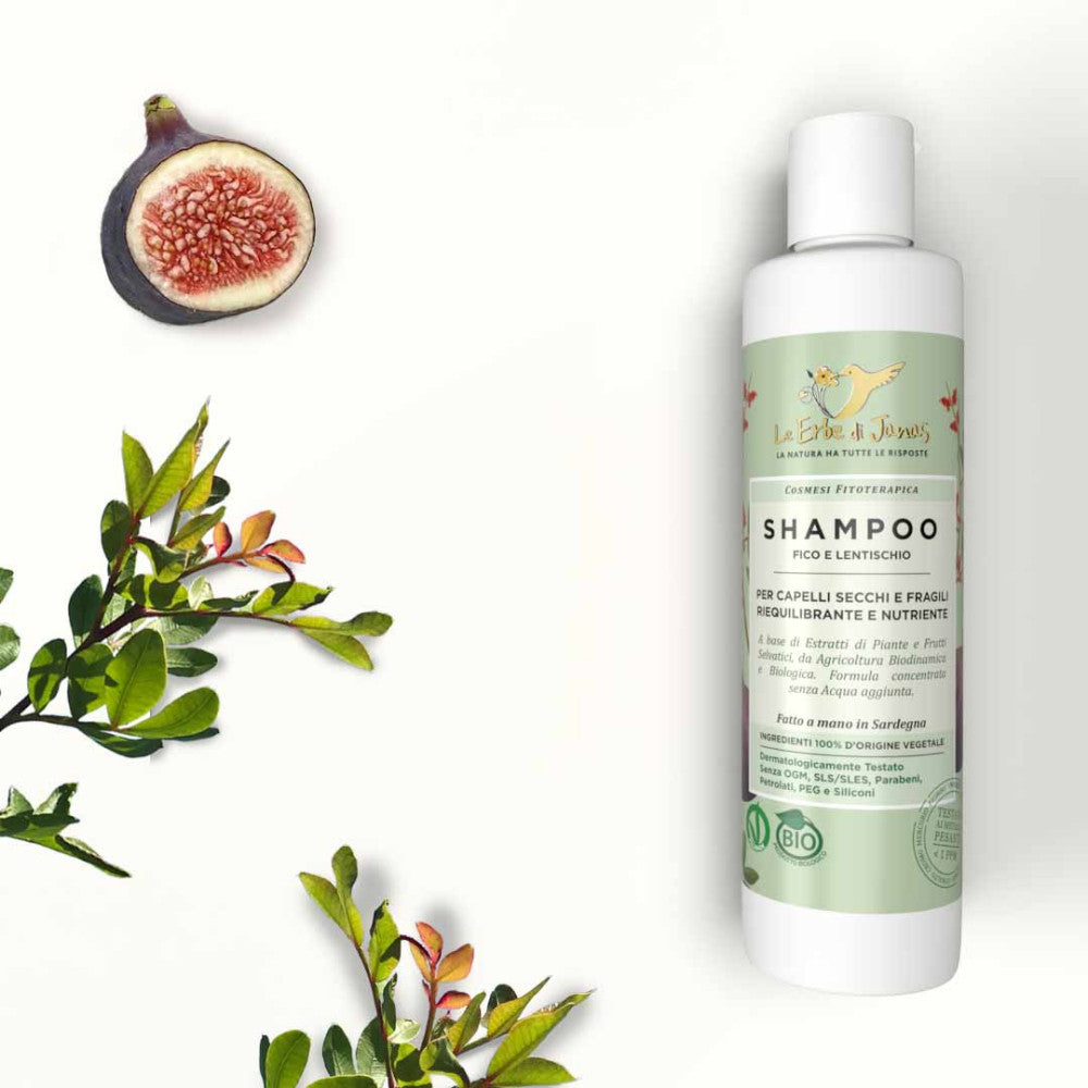Shampoo für trockenes Haar mit Feige und Mastix