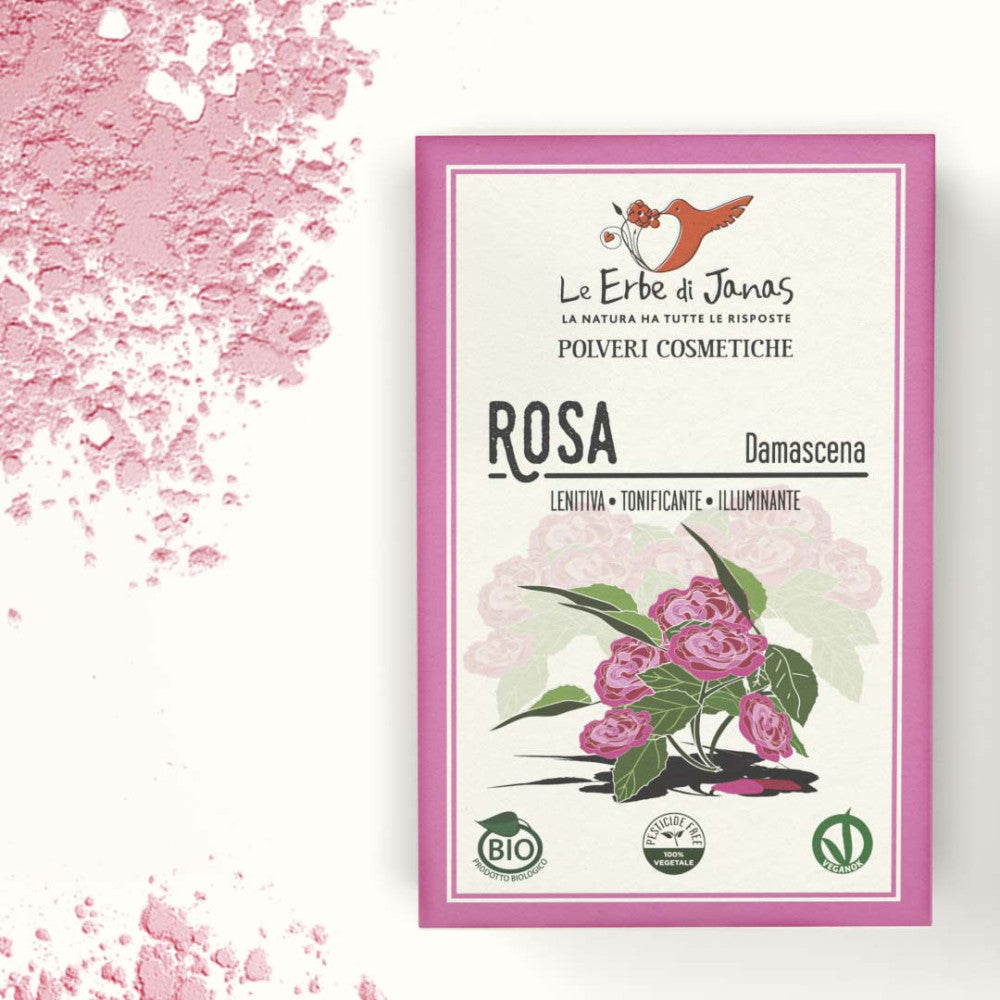 Rosa Damascena