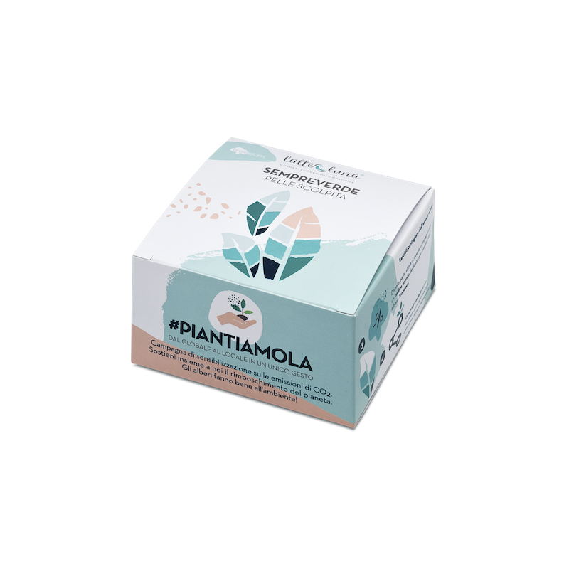 Caja Regalo Plantamola - Nenúfar - Yumibio Espana