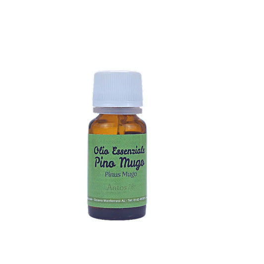 Aceite esencial de pino de montaña - Yumibio Espana