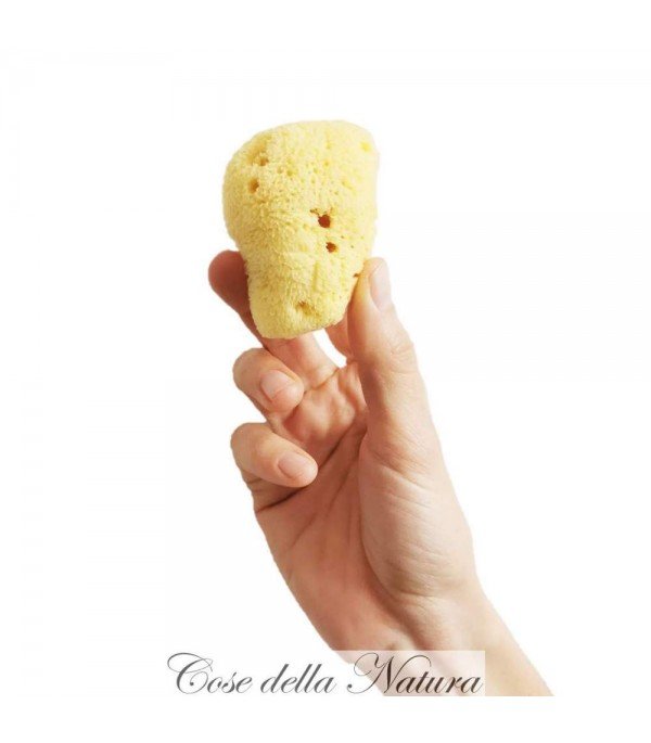 Spongella L - Esponja Menstrual 6/7 cm - Yumibio Espana